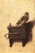 FABRITIUS, Carel The Goldfinch dfgh china oil painting reproduction